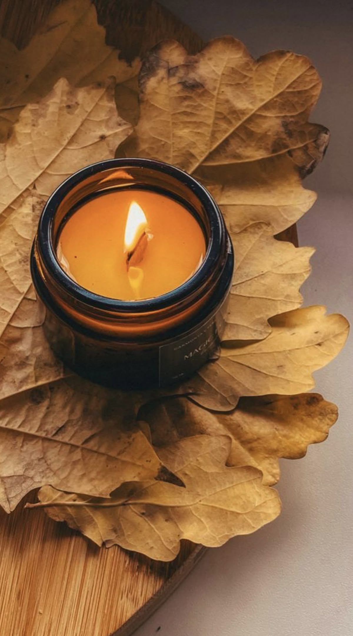 AUTUMN SEASON