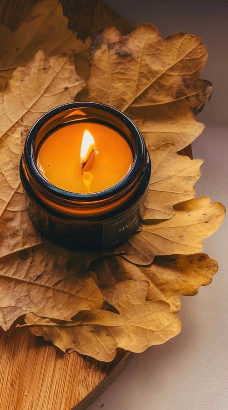 AUTUMN SEASON